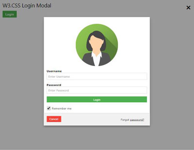 Demo Modal Login